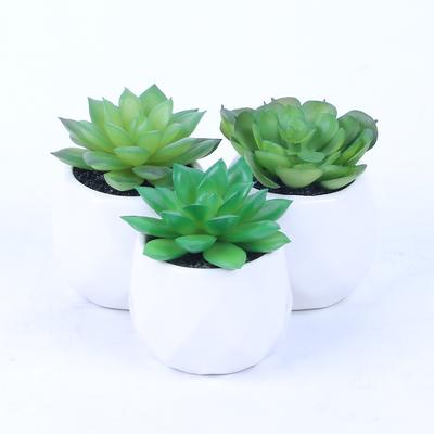 Mini Simulated Succulent Potted Plant, Creative Diy Indoor Small Ornament Plastic Simulated Flower Supply Es1155-1