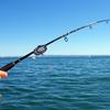 LED Light Fish Electronic Buzzer Sound Bell Fishing Bite Alarm Fishing Alarm  Night Fishing