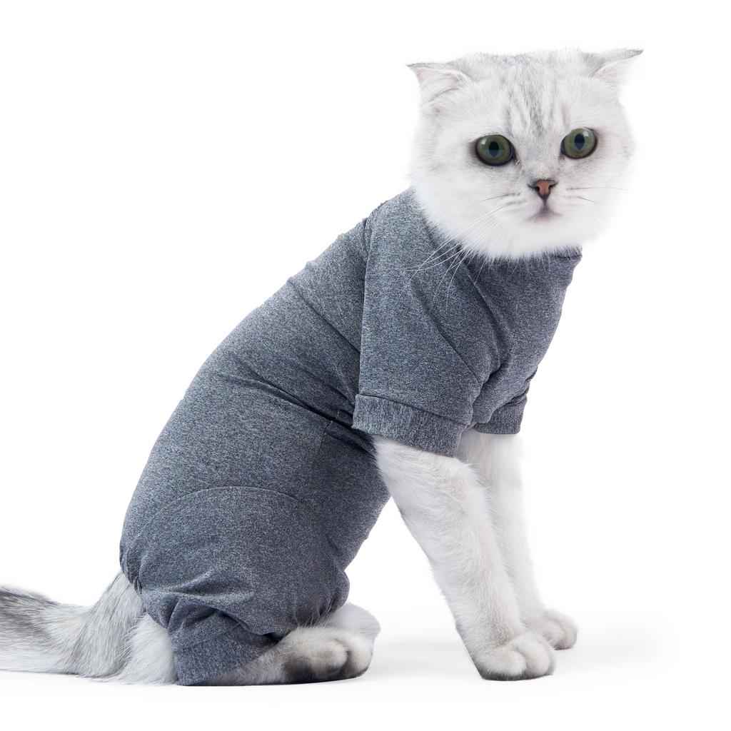 Pet Postoperative Clothes Cat Weaning Cotton Clothes Cat Surgery Recovery Suit Winter Warm Anti-licking Surgery After Recovery