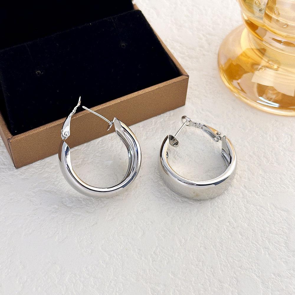 Silbernadel Einfache Silberne Metallstecker