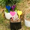 100PCS Reusable Plant Growth Label Waterproof Nursery Markers  DIY Garden Decoration