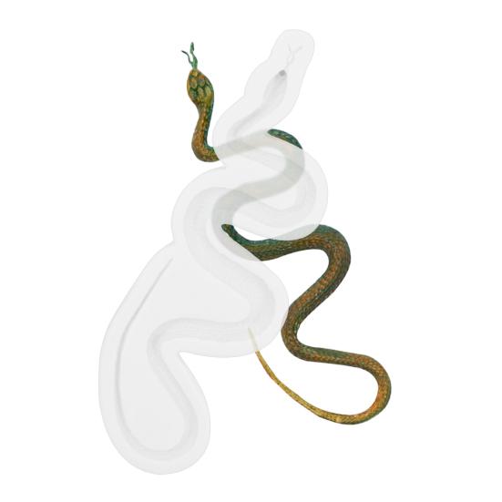 Snake Mold Flexible Silicone Halloween Design Fondant Mould