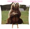 Hi Bear Sit On The Lawn Wearable Hooded Blanket, Ultra Soft Arctic Velvet Cape Cloak Unisex - Cozy Wearable Blanket