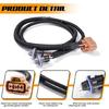 Automotive Rear Fix License Plate Illumination Wiring Cable Harness 15768809 For Vehicle Upkeep Enhancing Vehicle Safety
