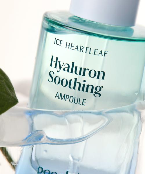 Goodal Houttuynia Cordata Hyaluronic Soothing Ampoule 50ml