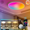 Tuya Smart WiFi Dimmable Alexa Voice-Controlled Ultra-Thin Ceiling Lamp