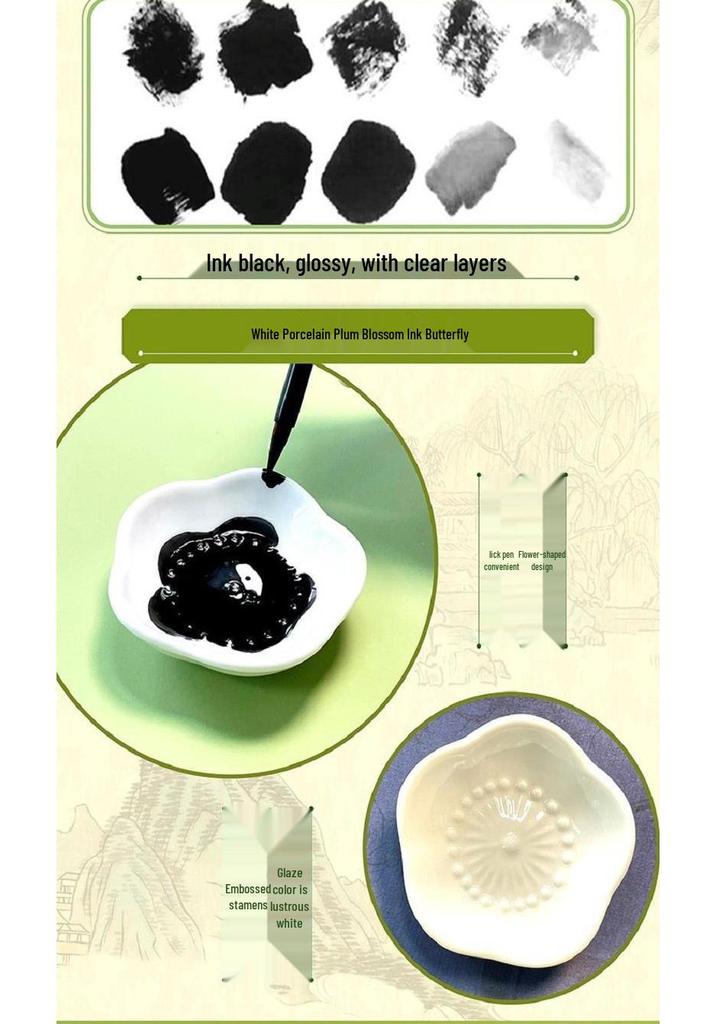 Feile Bird Chinese Landscape Painting Set: Ink & Brush Gift Box with Tutorial Video