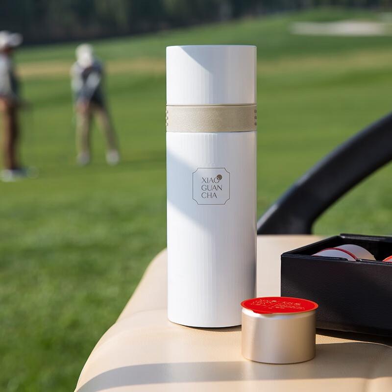 Portable Tea Infuser Thermos Mug