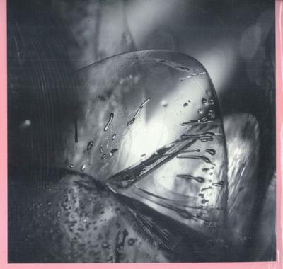 LP-Schallplatte LOSCIL Clara KRANK231 Kranky 2021 US Obi Dance Electronica