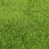 2 Sizes Synthetic Artificial Grass Mat Turf Lawn Garden  Landscape Ornament Home Decor Artificial Grass Artificial Turf