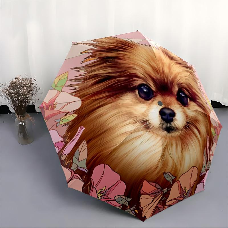1pc Pomeranian, Floral Automatic Open/Close Umbrella - Compact Travel Umbrella, Gift for Birthdayyy251208139