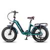FAFREES F20 Master Electric Bicycle 20" 500W Motor Electric Bike Adult Top Speed 45Km/h 48V 22.5AH Range 160Km Load 150Kg