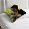 The VVampire DDiaries Decorative Square Pillow Cover Modern Cushion Case for Living Room Bedroom
