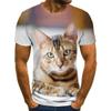 Camisetas e regatas – Camisetas