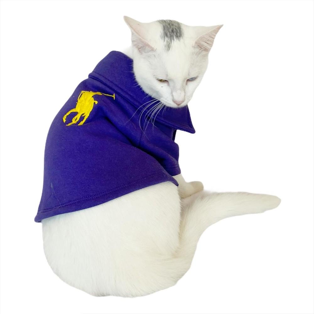 Cheap Cat Clothing and Supplies Joom