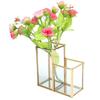 Glass Storage Container Garden Polygonal Column Golden Brass Bar Welding Flower Room Box