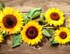 Glass Plate Cutting Board 52X40 Flowers