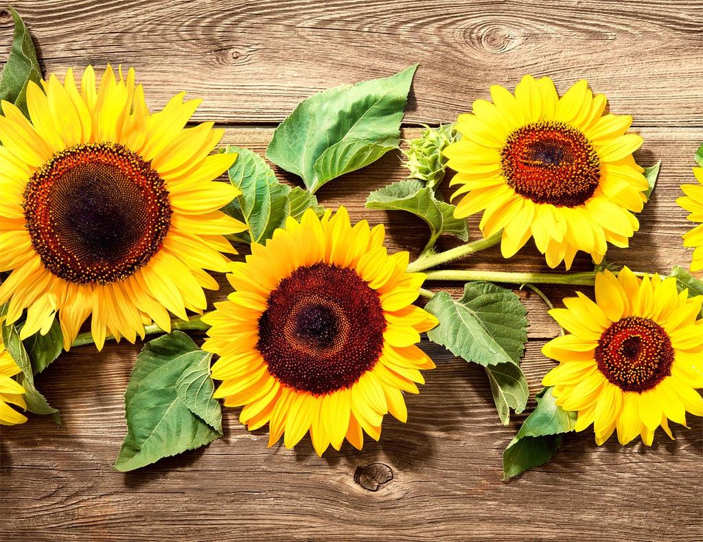 Glass Plate Cutting Board 52X40 Flowers