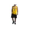 Nike NBA Swingman Jersey, Los Angeles Lakers Lonzo Ball Edition Men Jersey Yellow AA7099-728