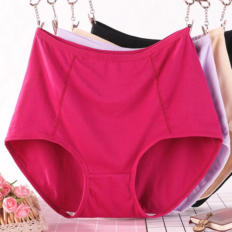 New Cotton High Waisted Triangle Briefs for Plus Size Women