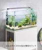 Yamazaki Jitsugyo Aquarium Rack White W61 X D34 X H70cm Tower Aquarium Stand Blindfold Storage Rack 1961 (Yamazaki)