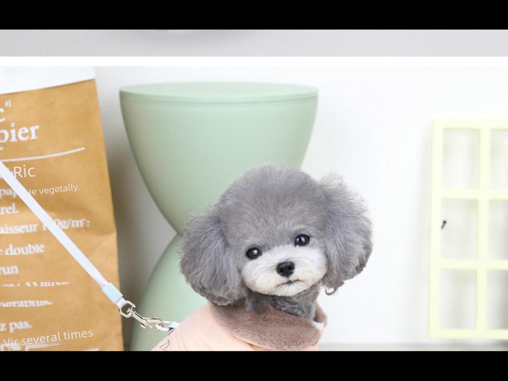 Autumn/Winter Pet Vest: New Cotton Coat with Fur Collar for Cats & Dogs - Available In Three Colors.