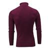 Casual Men Autumn Solid Color Turtle Neck Ribbed Twist Sweater Bottoming Shirt