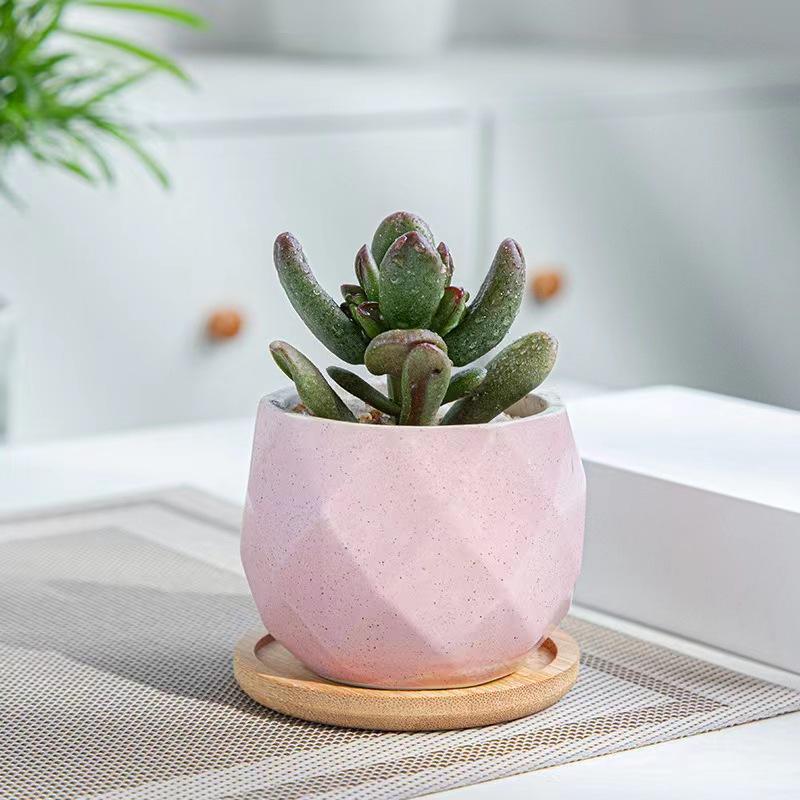 Nordic Decoration Coffee Table Restaurant Porch Study Colorful Ceramic Geometric Plant Flower Pot