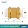 Xingqishi Brass Vertical Spring Check Valve