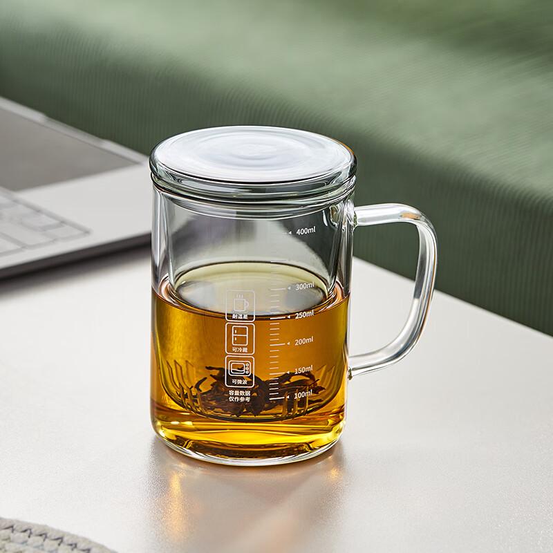 Meisni Borosilicate Glass Tea Infuser Cup