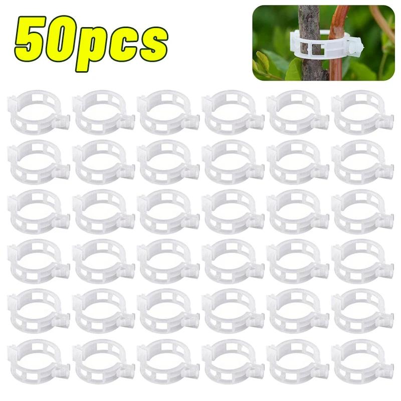 

Plant Support Clips Reusable Plastic Plant Vine Strapping Grafting Fixing Holder Vegetable Tomato Climbing Tools Garden Supplies