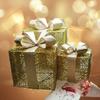 Christmas Box Gold Sturdy Multifunctional Exquisite Workmanship Christmas  Box Ornaments For Stores