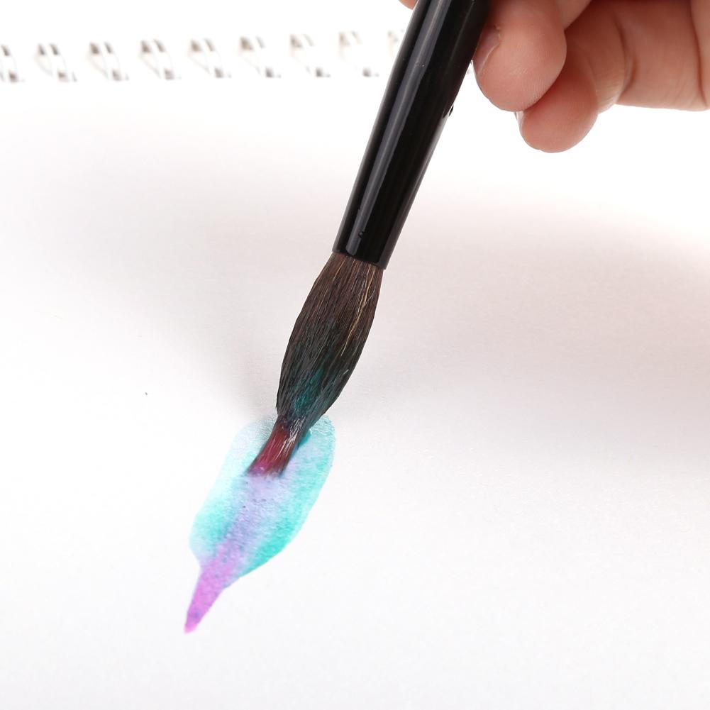 Extended Needle Point Two Layer Watercolor Brushes,Mop Brush Line Brush 2-in-1,Squirrel Hair Mix Nylon Hair Paint Brush for Art Detailing Painting