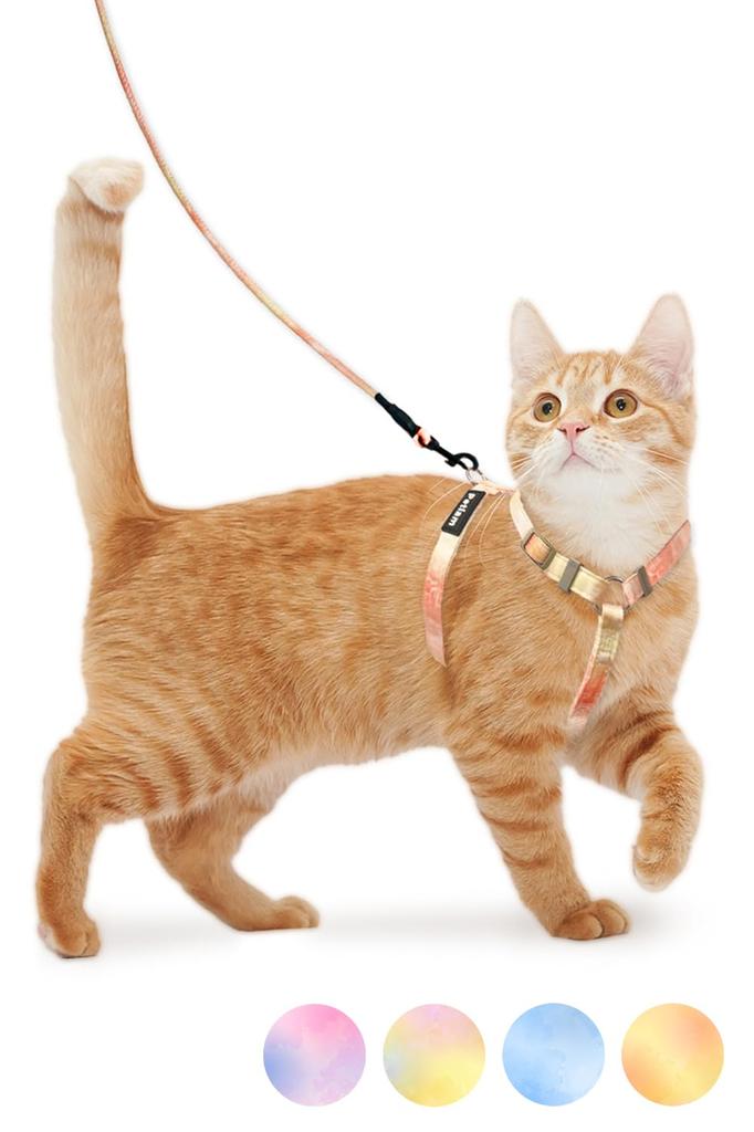 Units Sold In the Petiam Cat Harness and Lead for Lead Walking String Type (Over 20,000 Series) Cats, Non-Slip Set, Set, (Sunset, M)