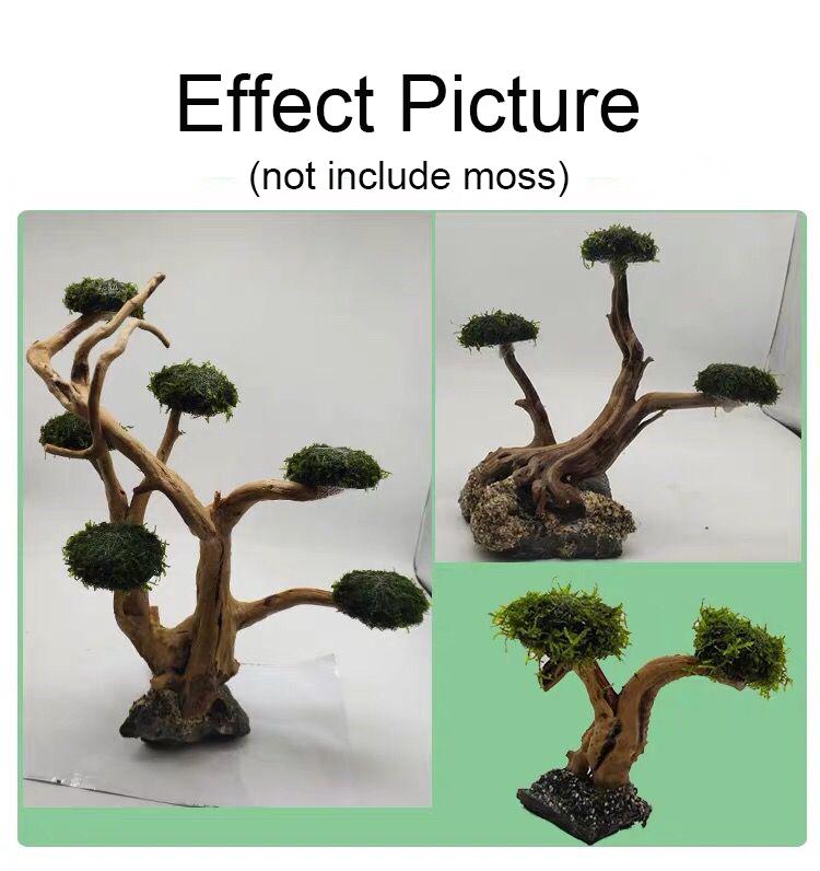 Aquarium Decoration Moss Driftwood Fish Tank Landscaping Water Grass Moss Tree Trunk DIY (No Aquatic Plants)