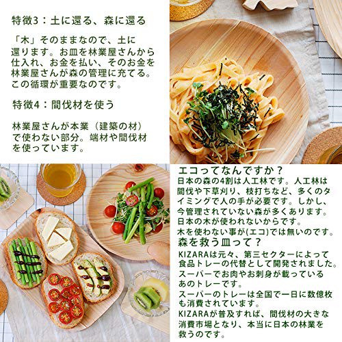 KIZARA Square Plates, Set of 100, Wooden Plates that Look Like Paper Plates, Japanese Lacquerware, Perfect for Cherry Blossom Viewing, Disposable Wood