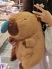 Capybara Sleepy Plush Hug Pillow - Birthday Gift for Girlfriend