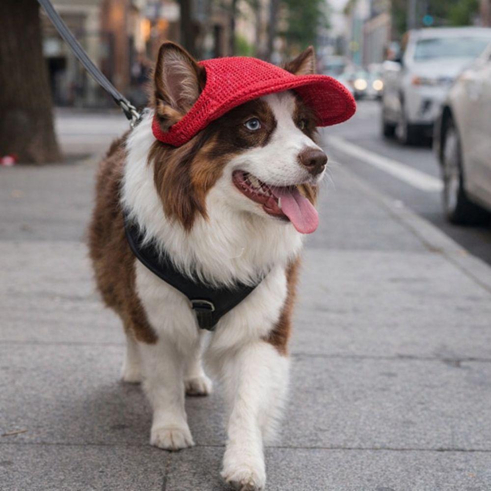Casual Style Breathable Pet Sun Hat Ear Holes Sun Protection Dog Visor Hat Adjustable Pet Baseball Cap Pet Costume