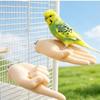 Wear Resistant Fake Hand Bird Resting Pole Non-Slip Parrot Training Stand  Bird Cage Accessories