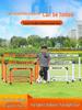Fotbal – Accesorii pentru fotbal