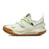 Nike ACG Mountain Fly Low GTX SE Sea Glass Men Sneakers Green Lime-Ice DD2861-001