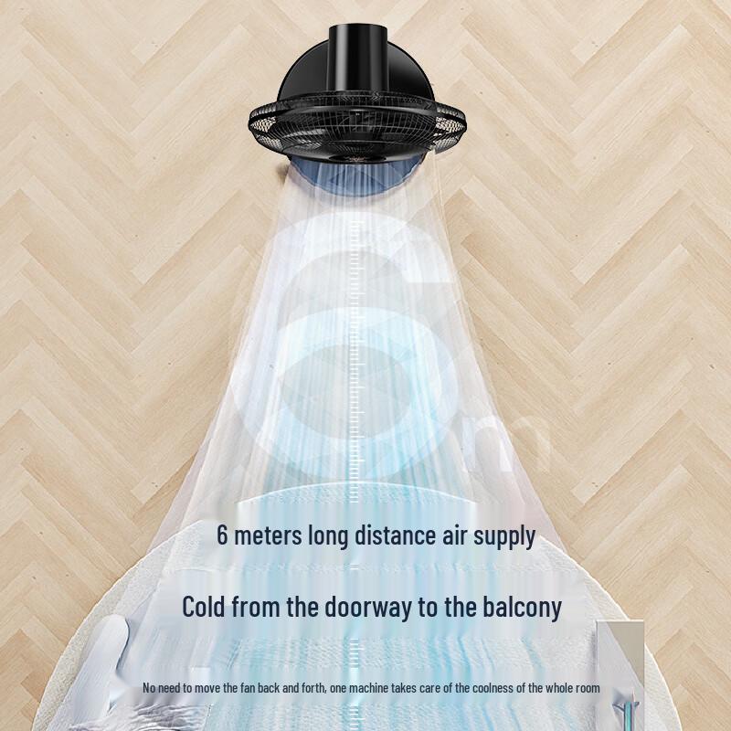 Diamond Brand DC Inverter Floor Fan CN plug (adapter included)