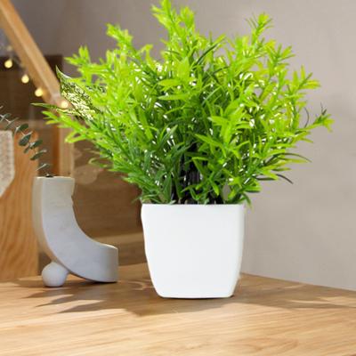 Simulated Plant Pot Artificial Potted Plant Never Wither Fade-less Scene Layout Filming Prop No Trimming Home Fake Bonsai Home Office Bedroom