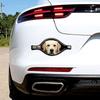 Adesivo Impermeabile per Auto da Cane Design Cerniera Decorazione Auto per Animali Adesivo per Auto da Cane Copri Graffi