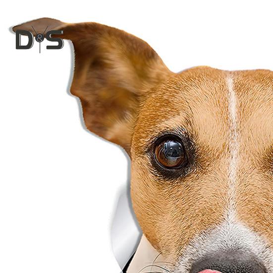 Toilettenaufkleber mit Cartoon-Hundemuster, selbstklebend, reißfest, PVC, dekorativer Toilettenaufkleber, multifunktionaler Welpenaufkleber