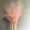 Long Pole Feather Grass Dried Flower Fluff Grass Needle Grass, Fresh And Smart Soft Decoration High-End Flower Diy Dried Flower Bouquet