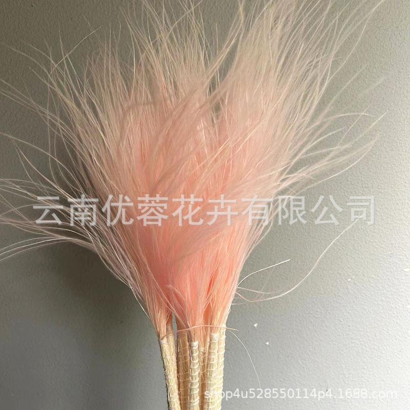 Long Pole Feather Grass Dried Flower Fluff Grass Needle Grass, Fresh And Smart Soft Decoration High-End Flower Diy Dried Flower Bouquet