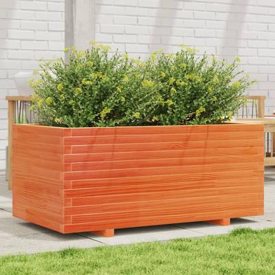 Home Decor – Decorative Flower Pots