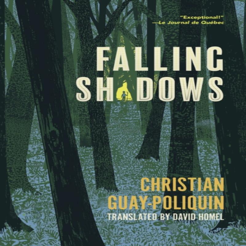 Falling Shadows by Christian GuayPoliquin Paperback Book 9781772014518