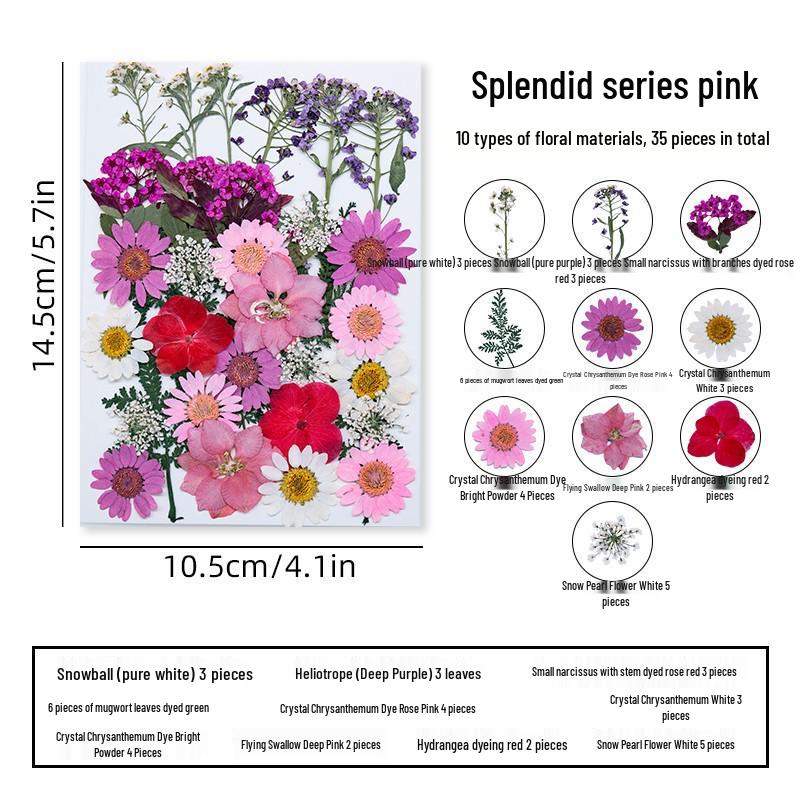 DIY Dried Flower Specimen Sticker Set for Kids: Handmade Pressed Flower Frames & Resin Bookmark Craft Kit